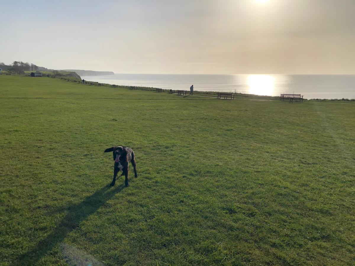 Dalis Den Lodge Bridlington Zewnętrze zdjęcie